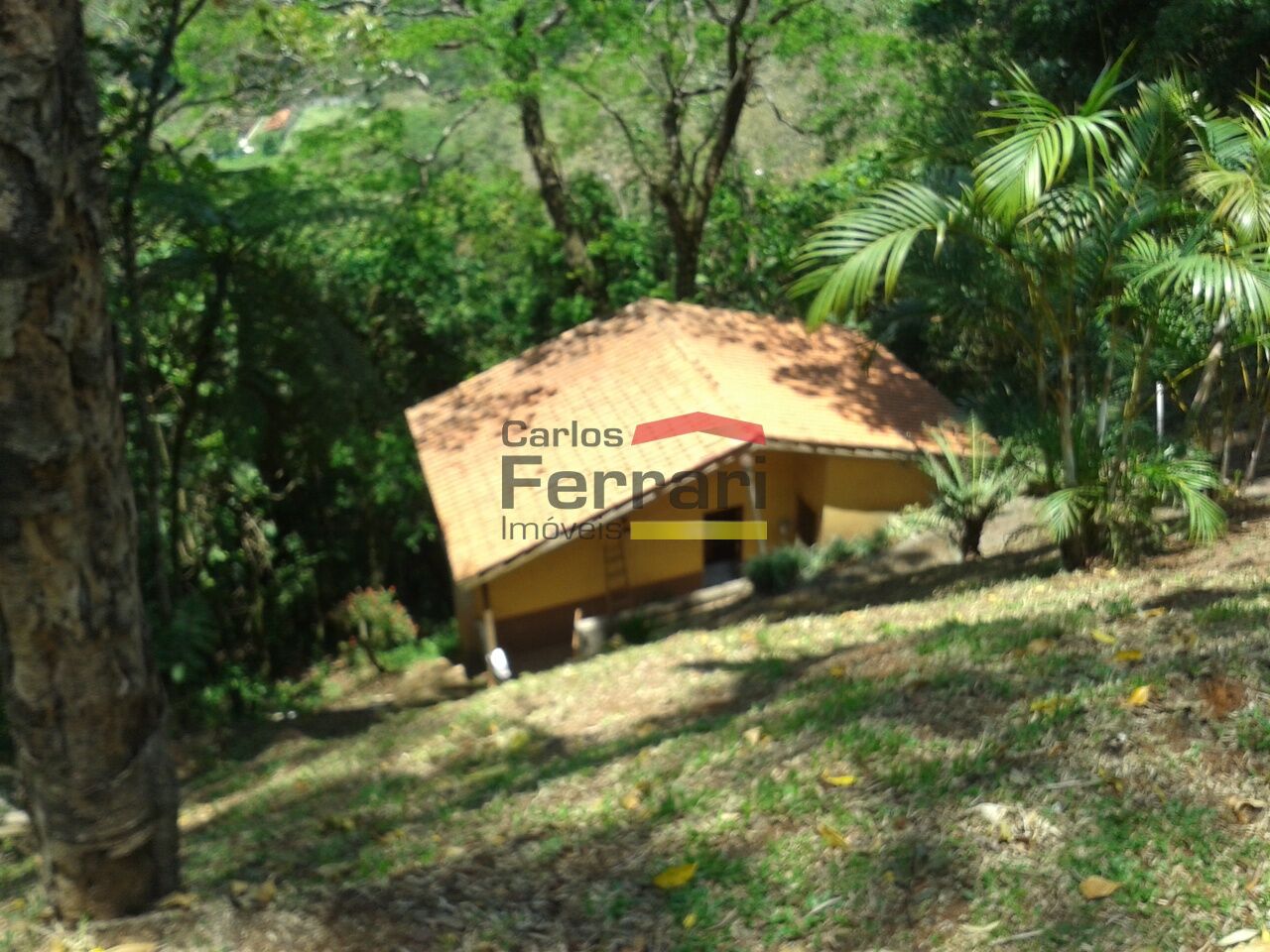 Foto 0
