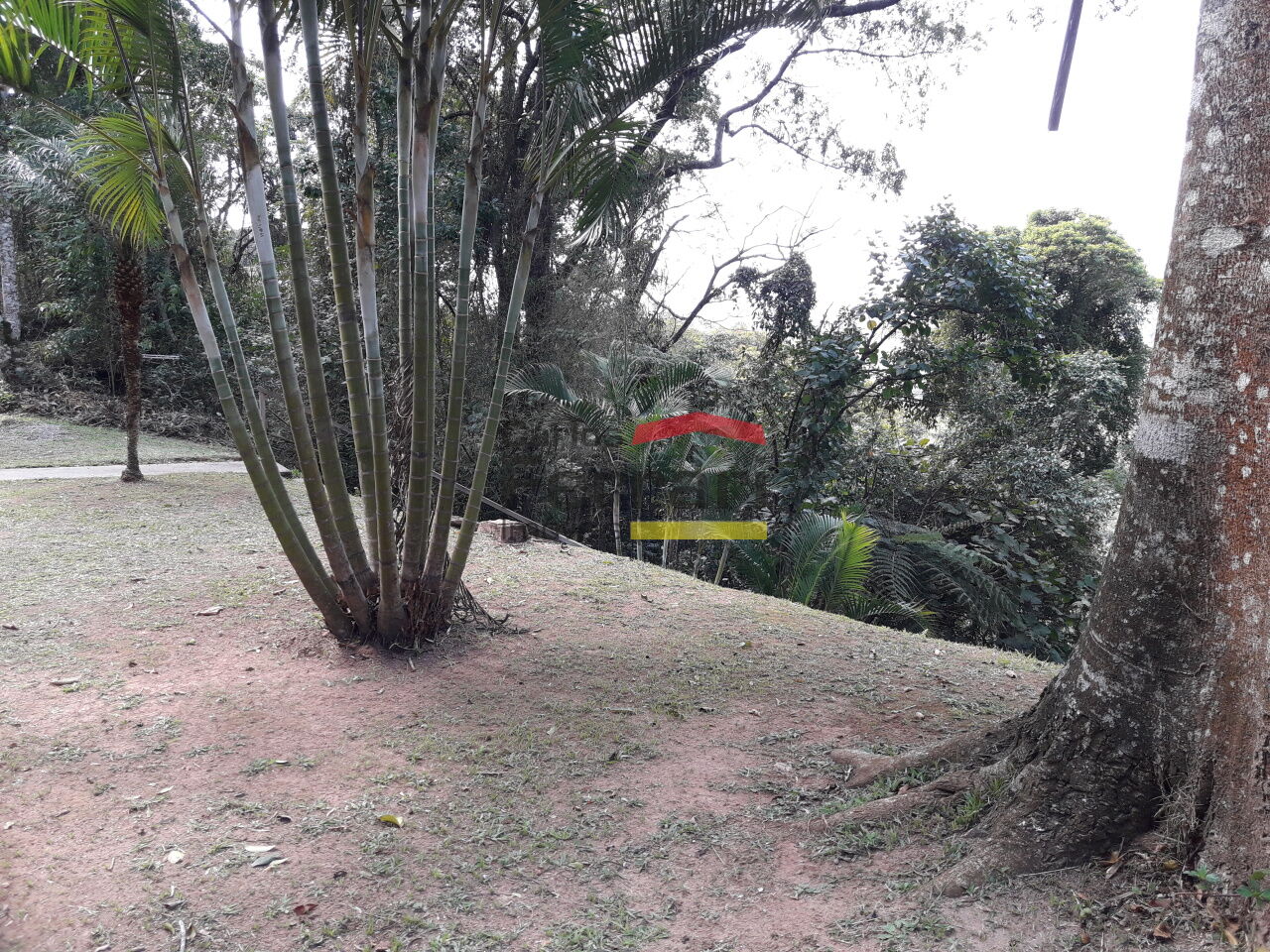 Foto 7