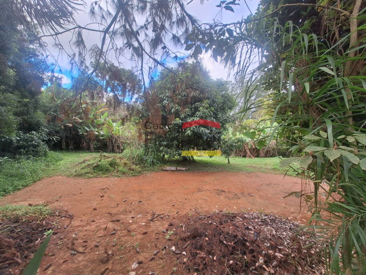Foto 18