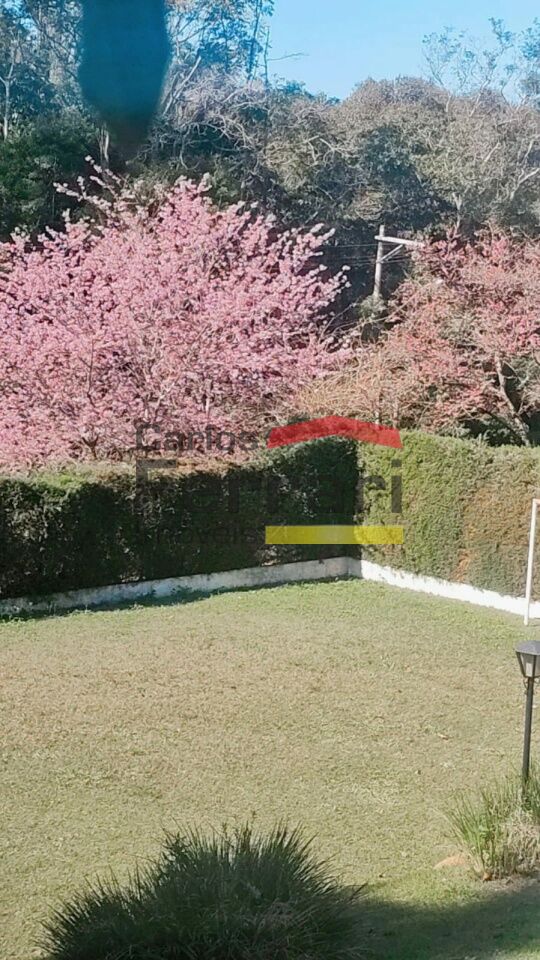Foto 40