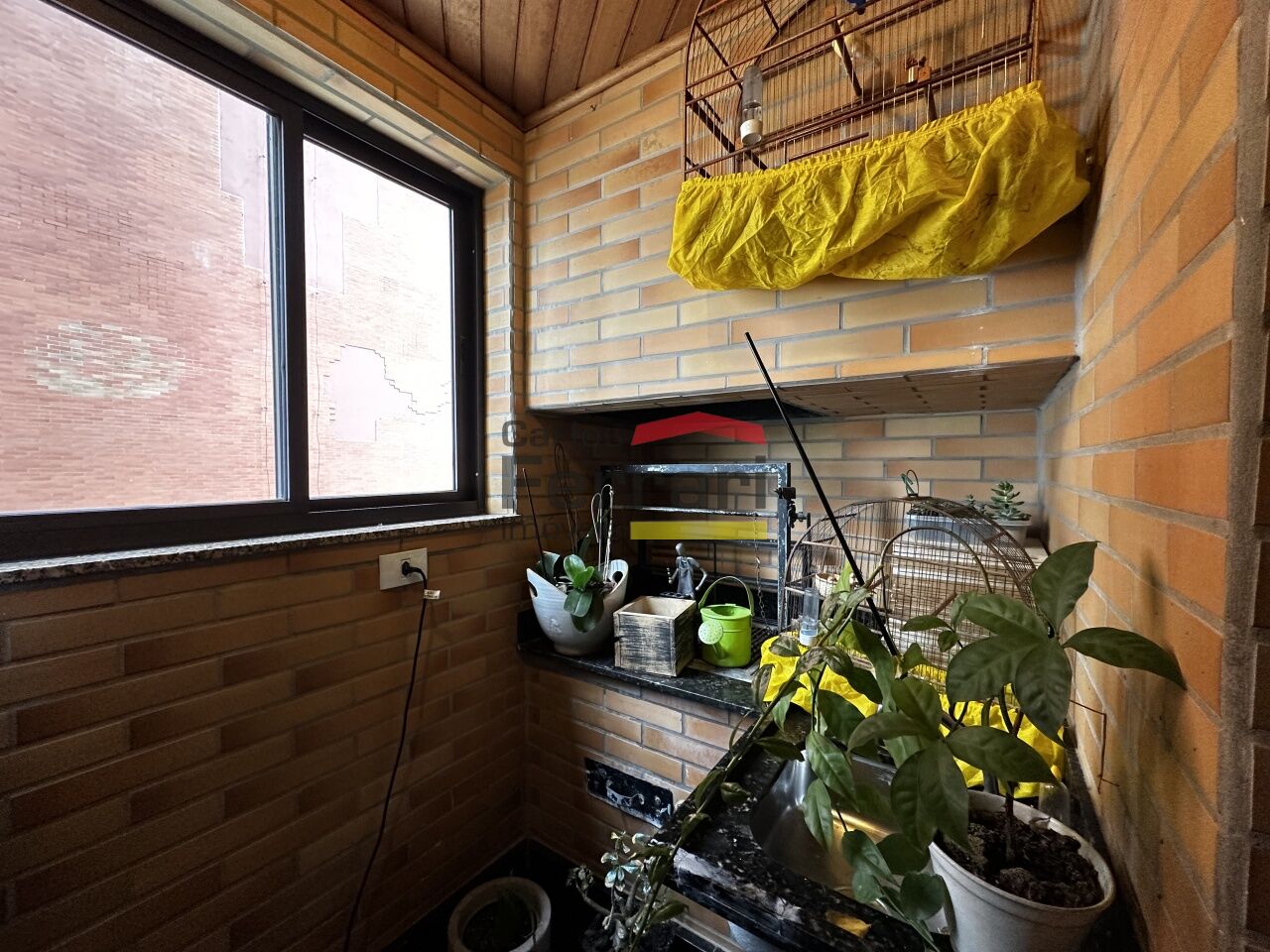 Foto 14