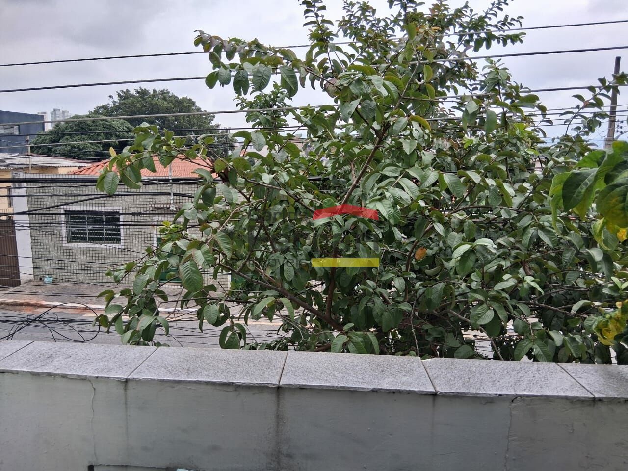 Foto 19