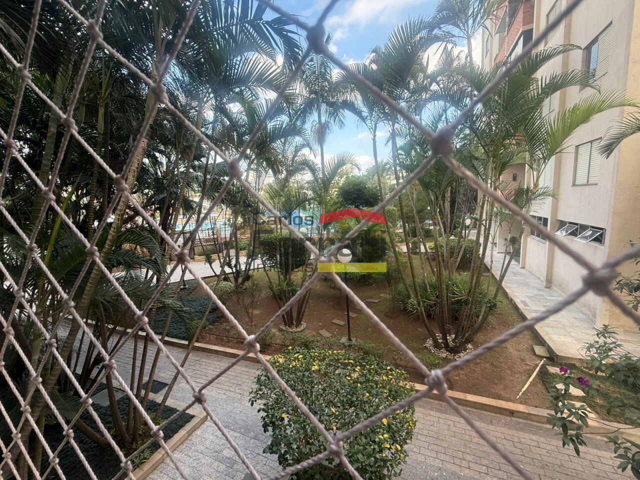 Foto 7