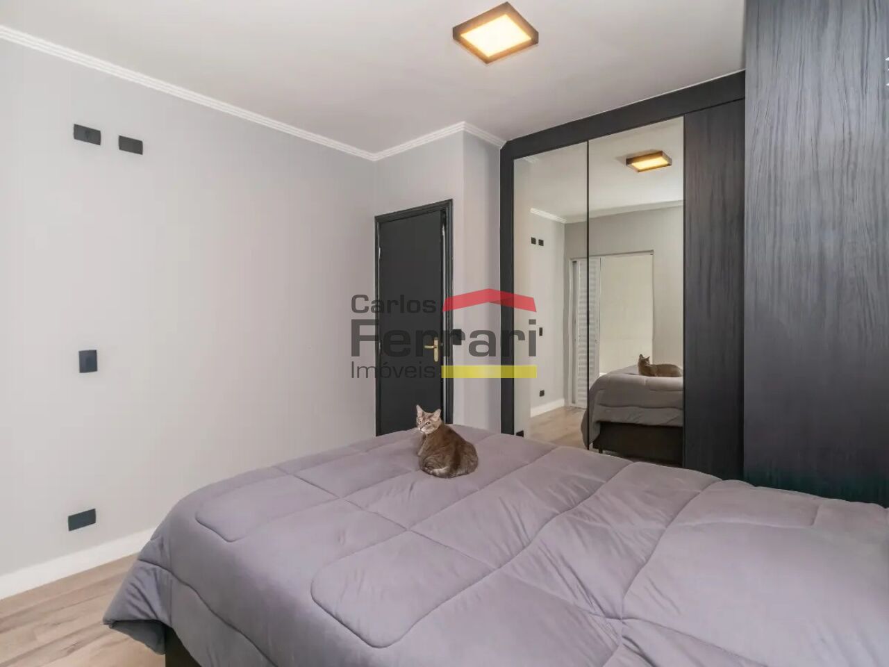Foto 20