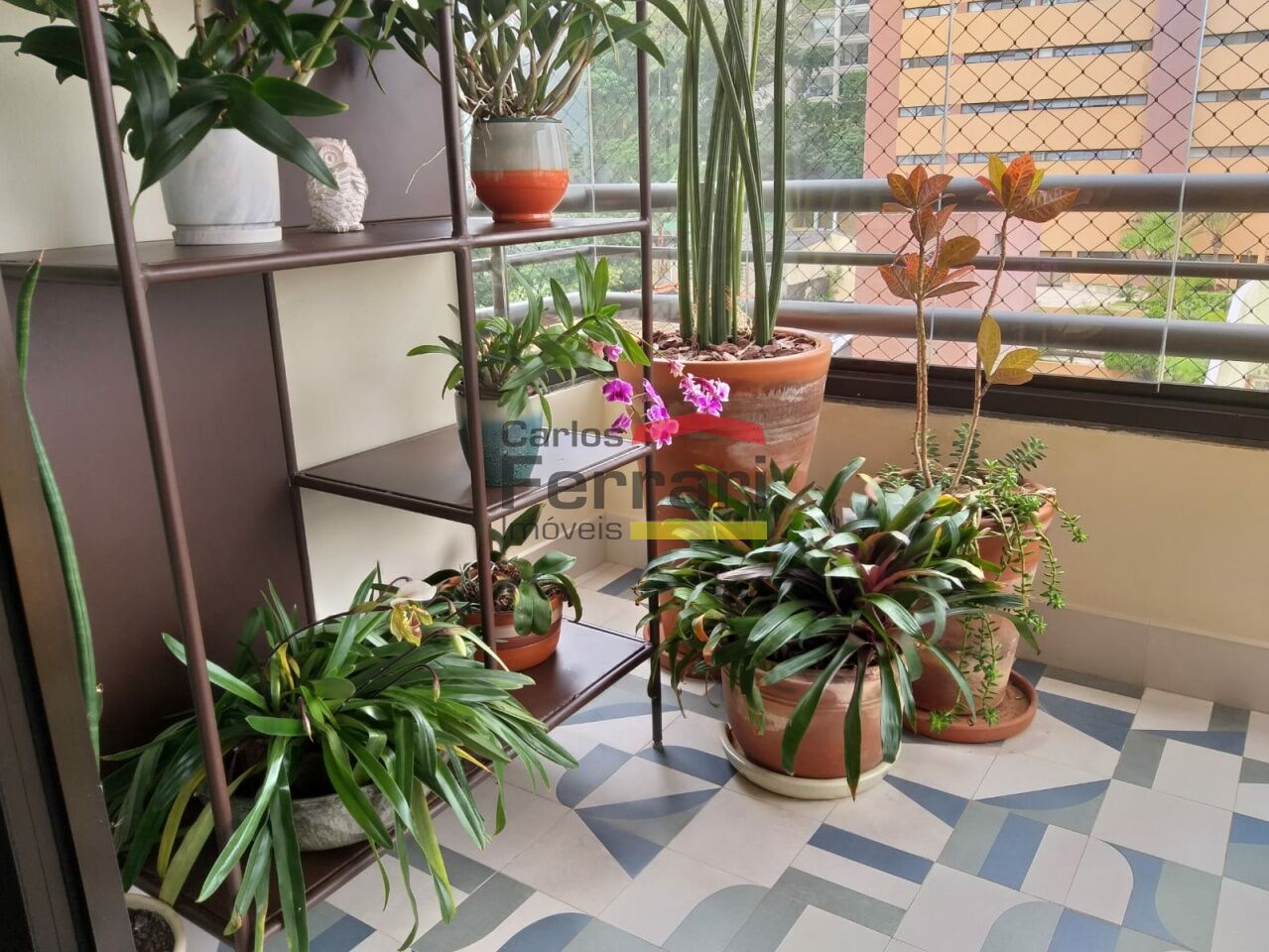 Foto 10