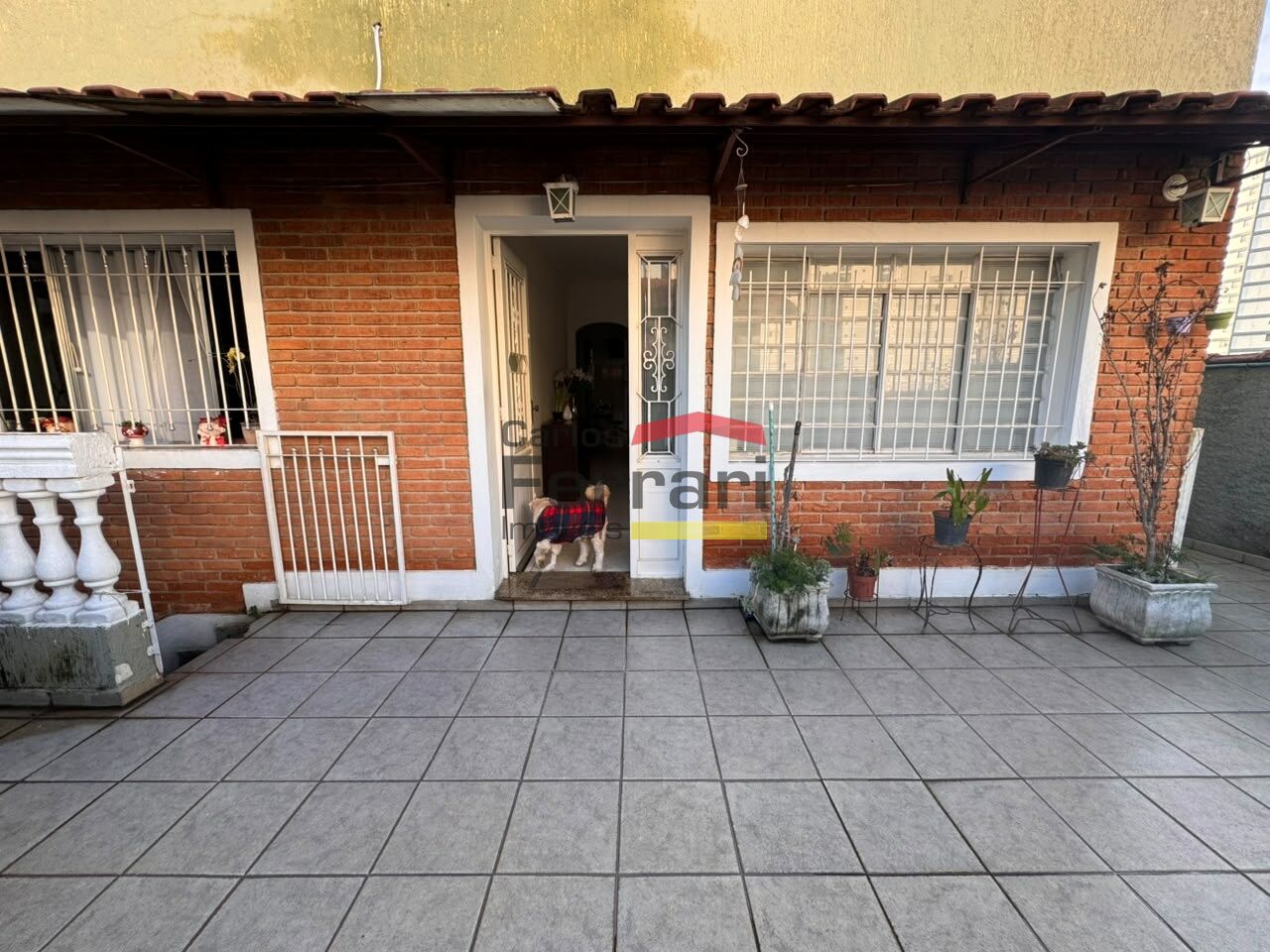 Foto 5