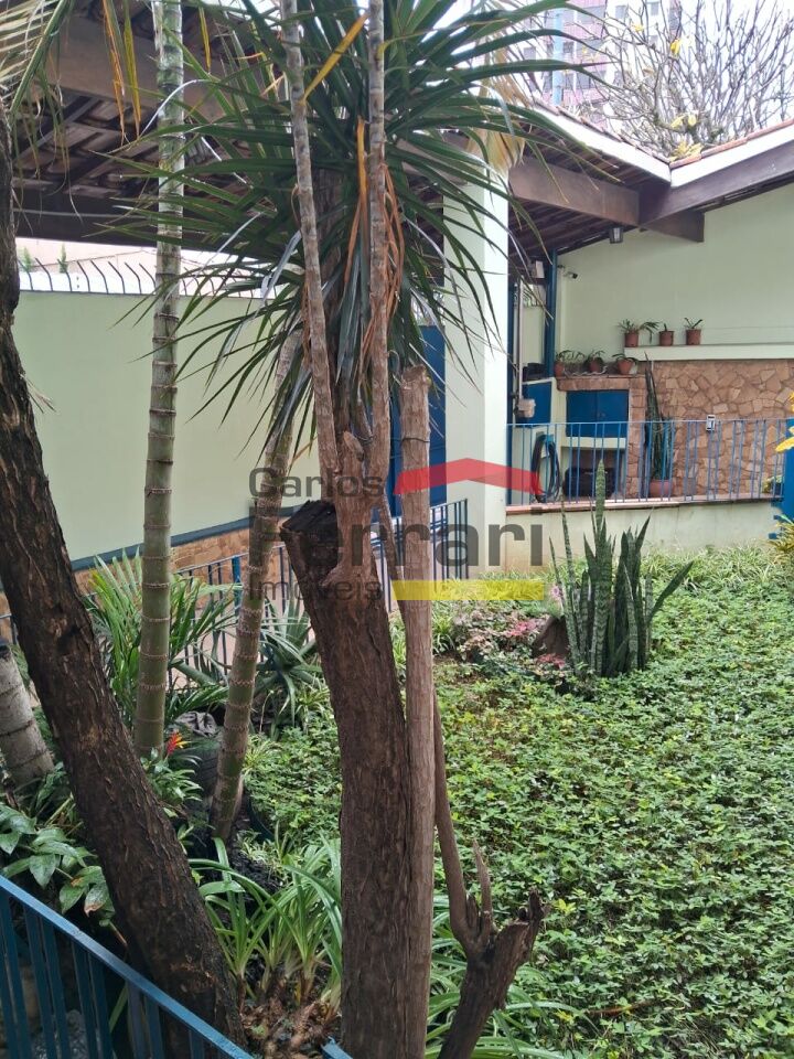 Foto 42