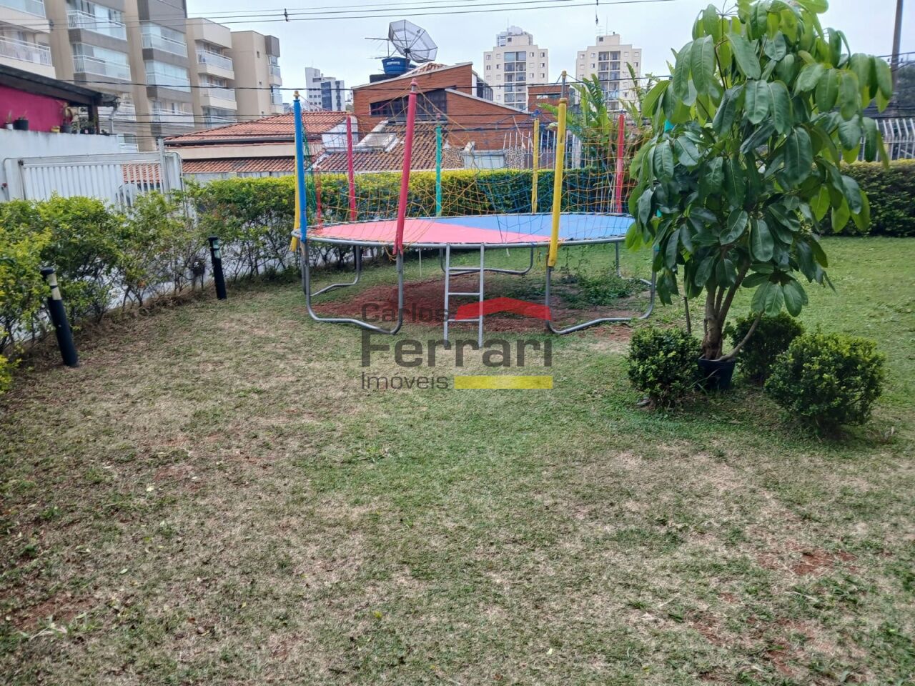 Foto 23
