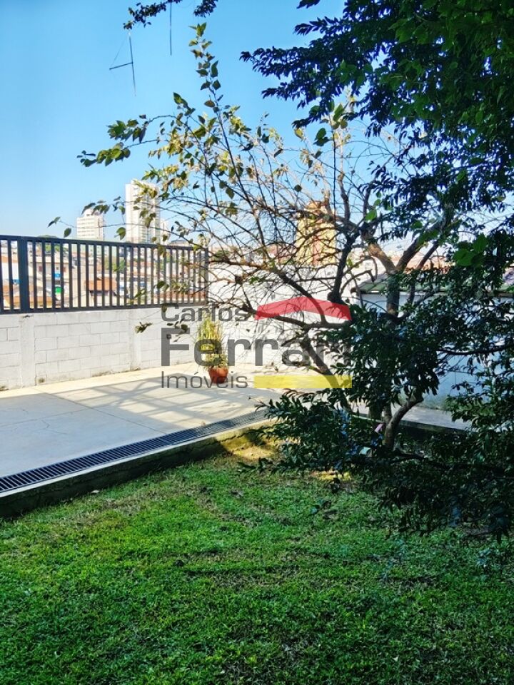 Foto 41