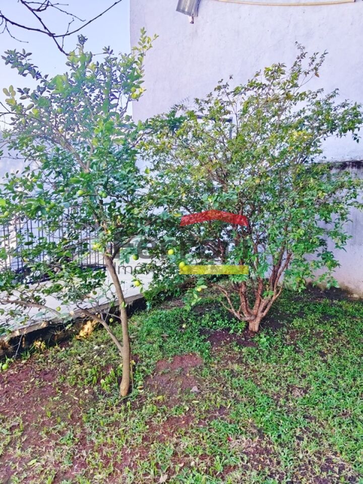 Foto 42