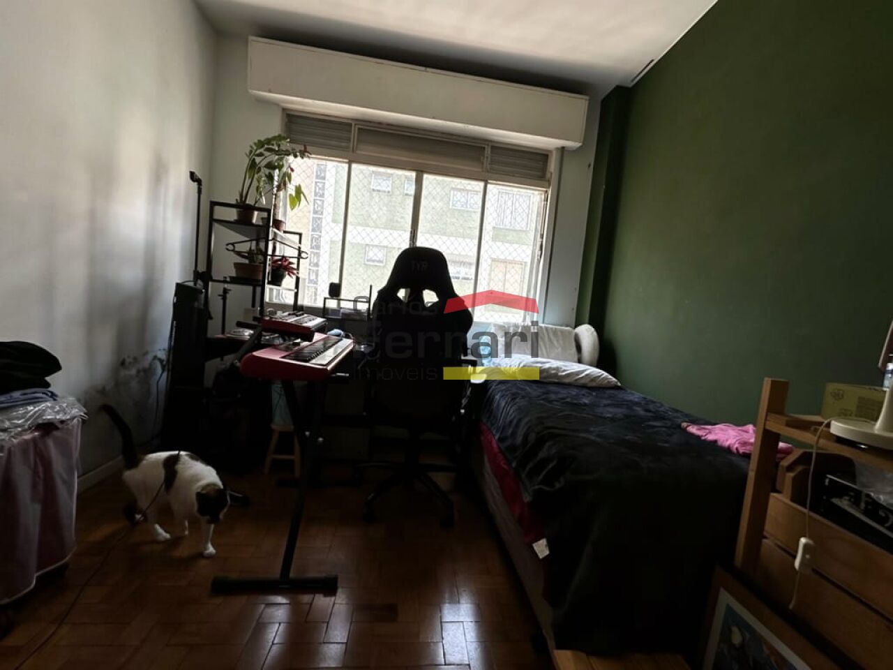 Foto 7