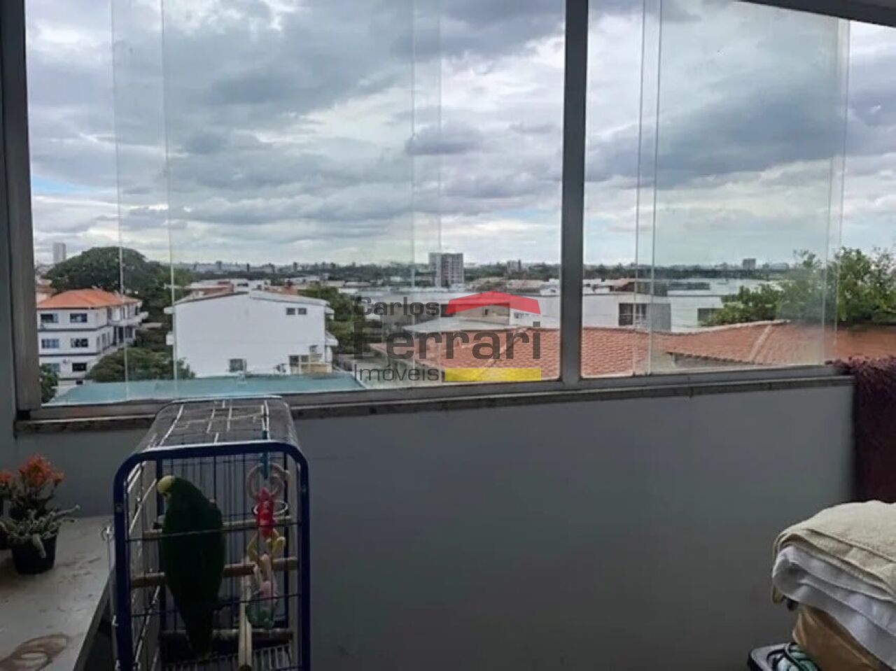 Foto 16