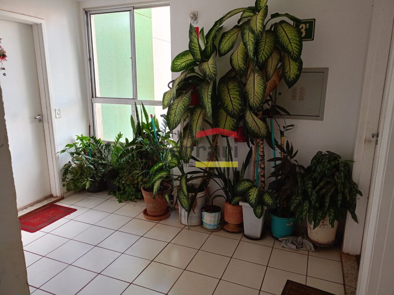 Foto 21