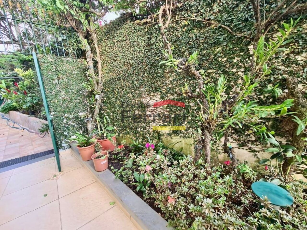 Foto 30