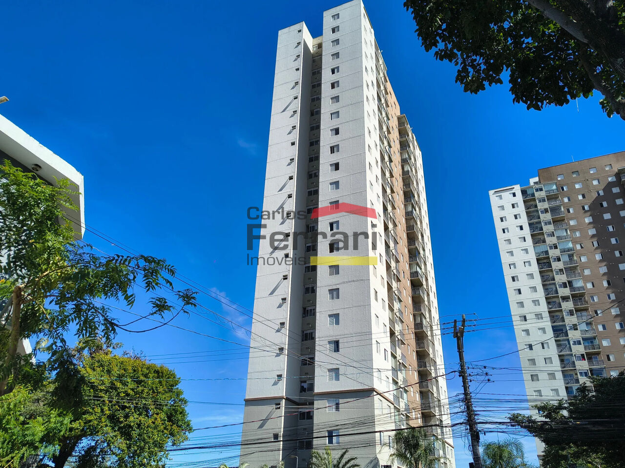 Foto 48