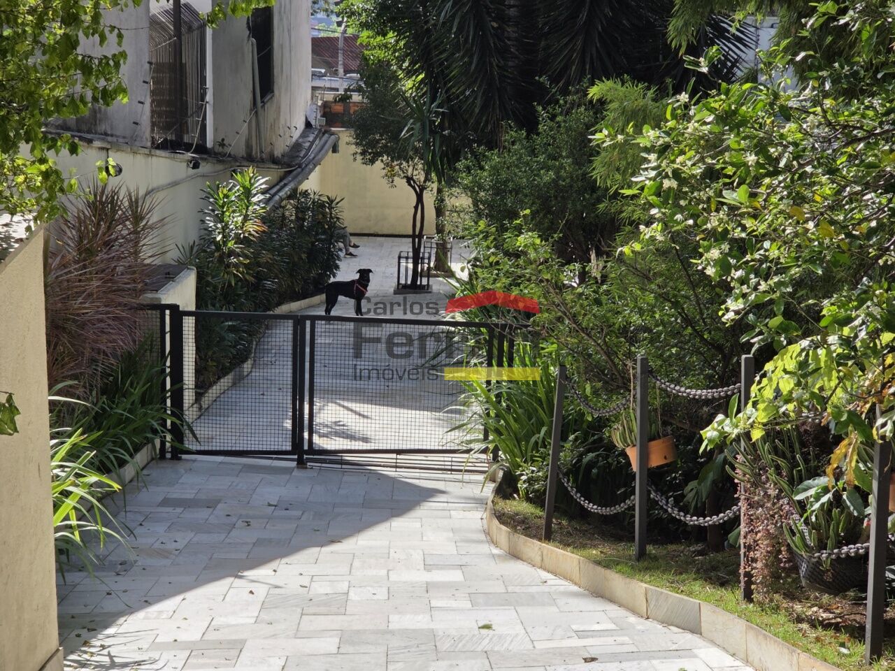 Foto 41