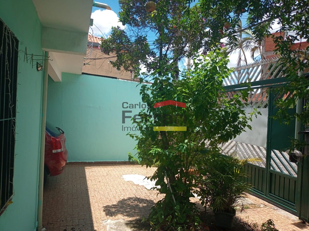 Foto 7