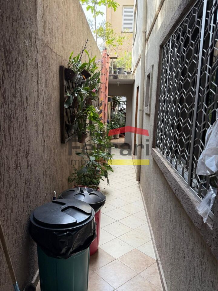 Foto 20
