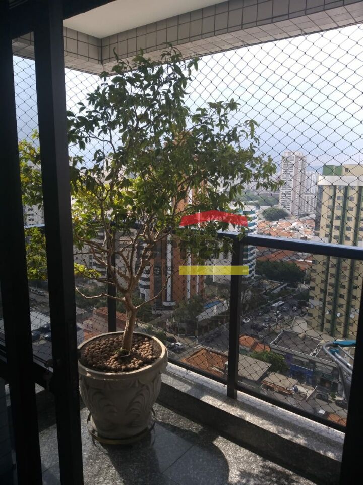 Foto 20