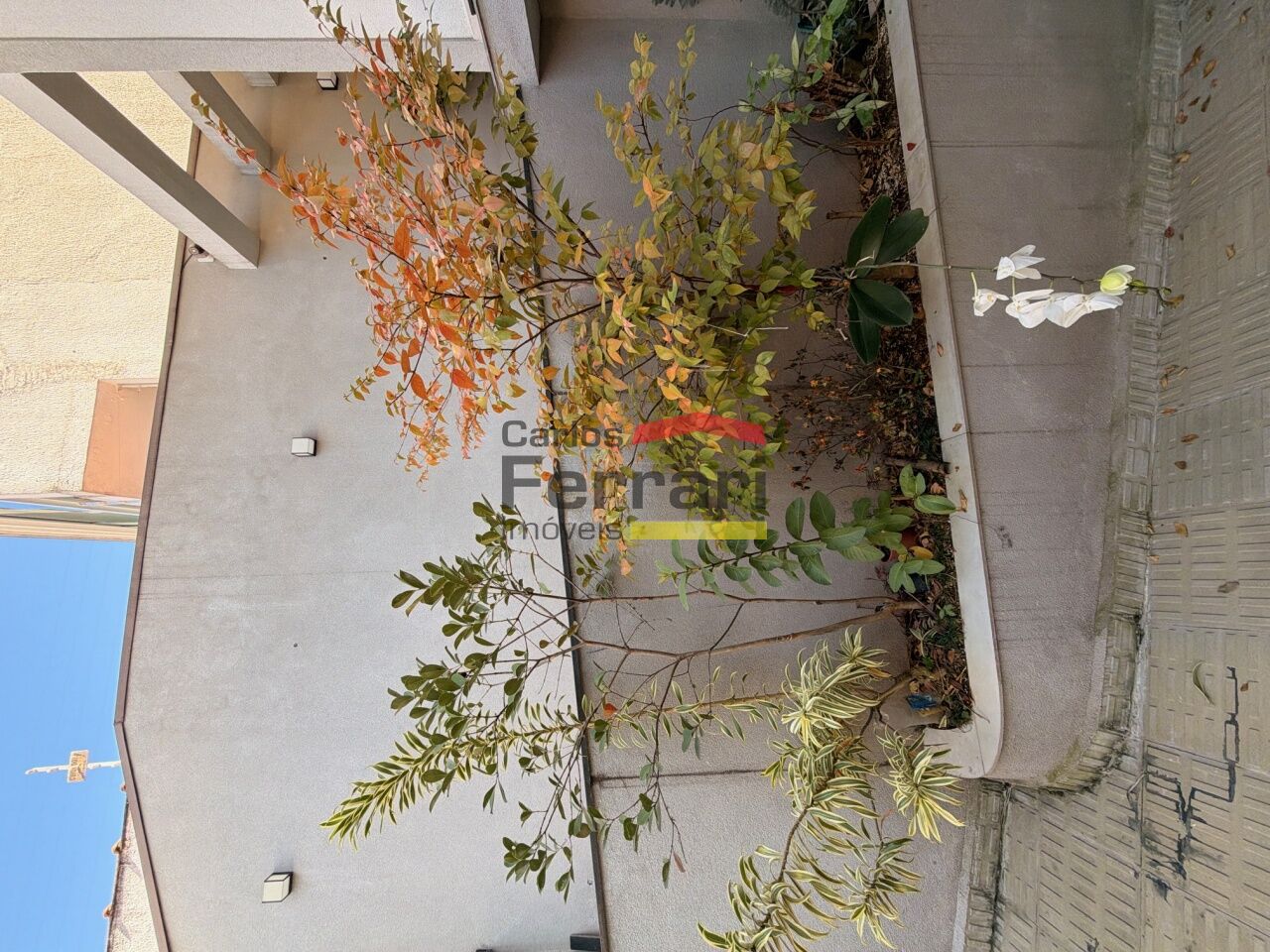 Foto 36
