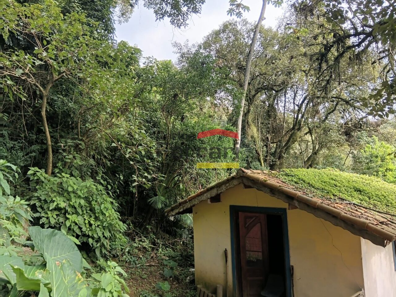 Foto 14