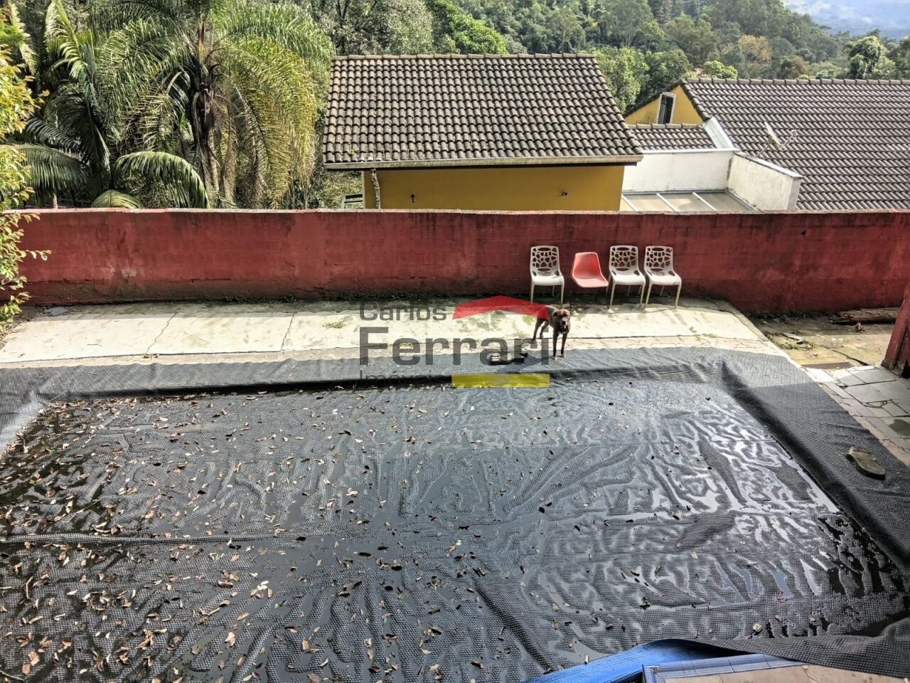 Foto 15