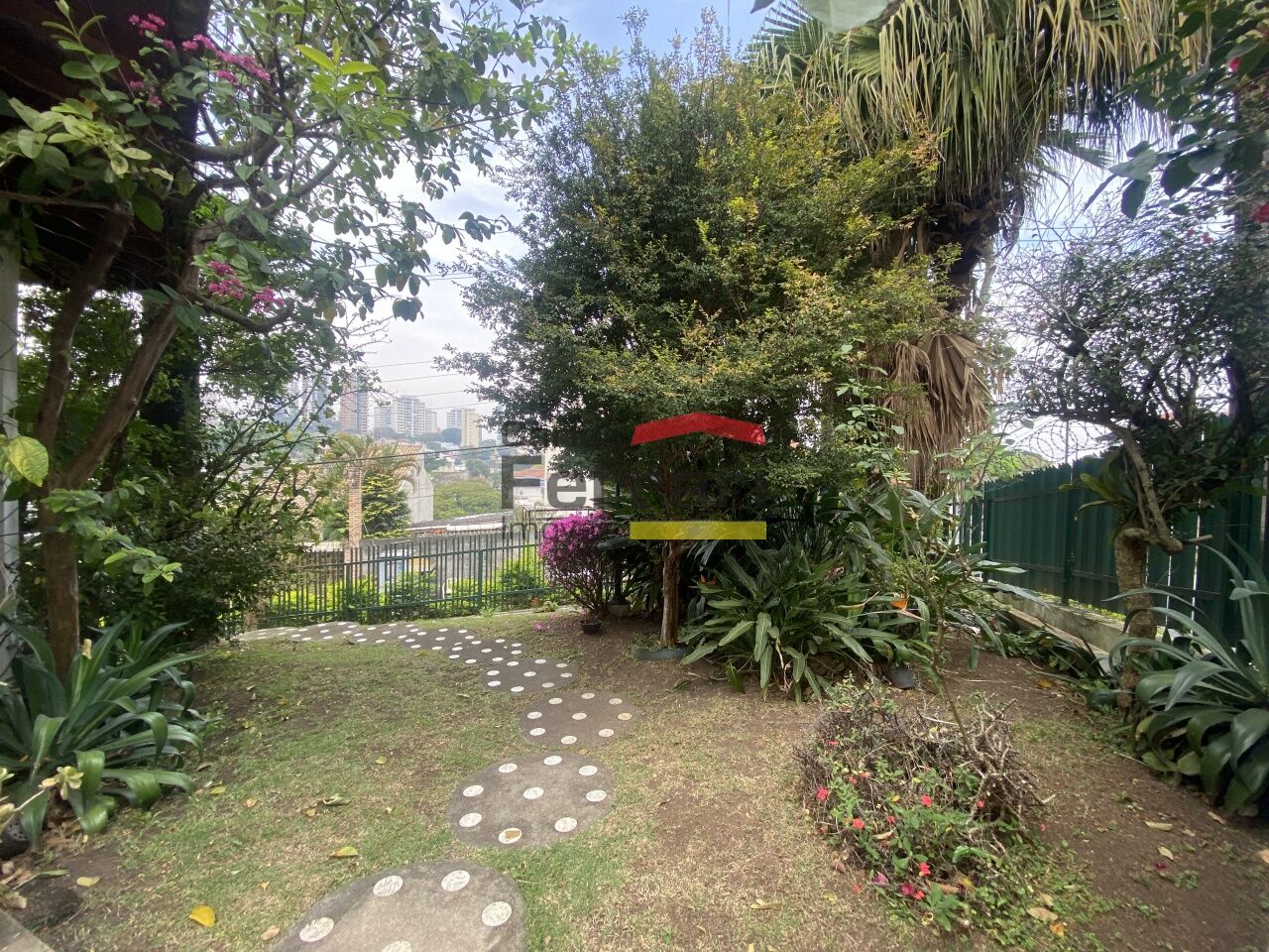 Foto 41