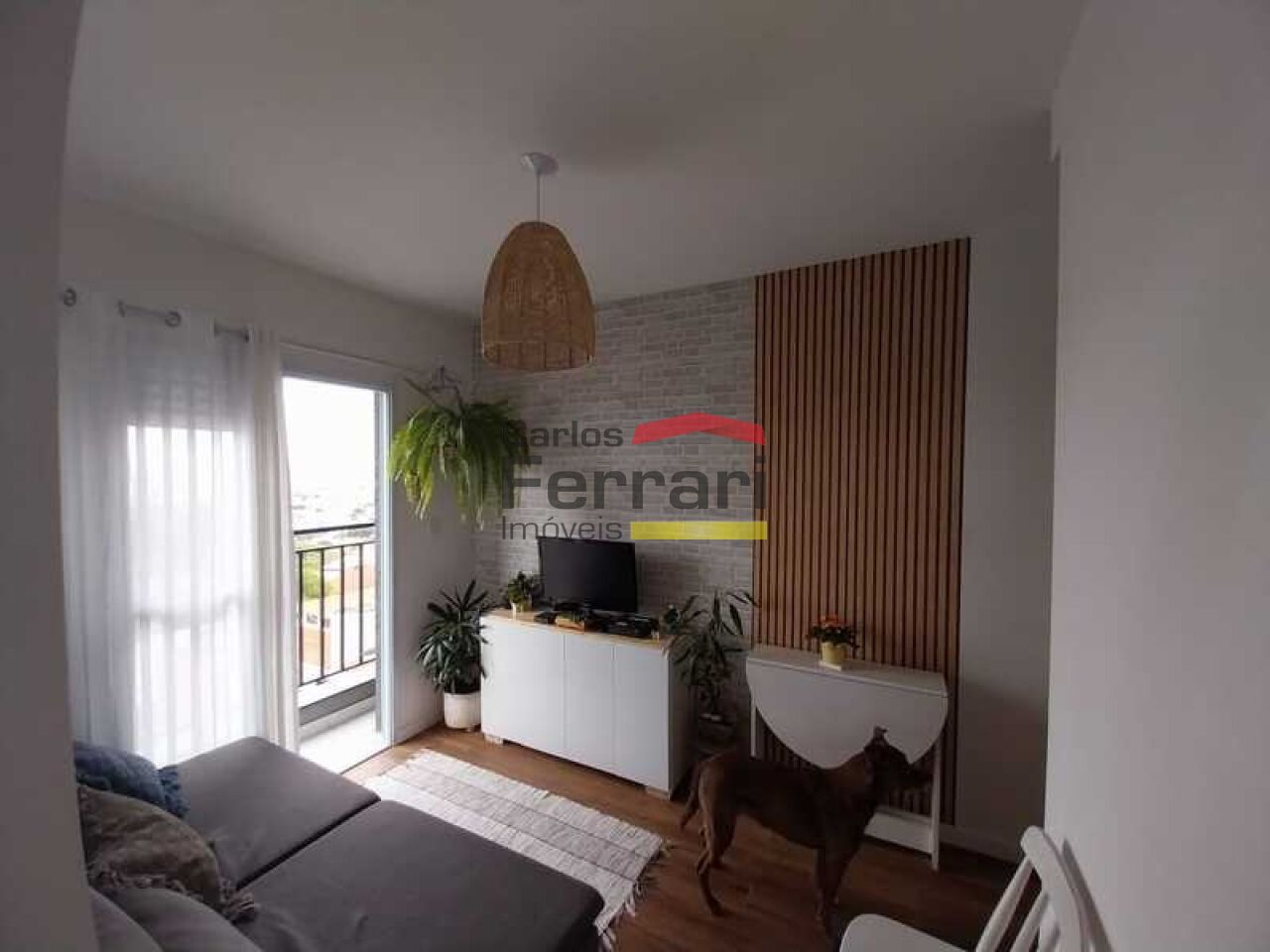 Foto 1