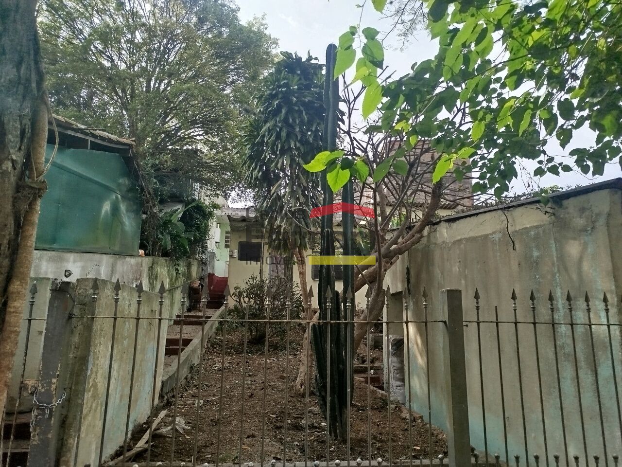 Foto 19