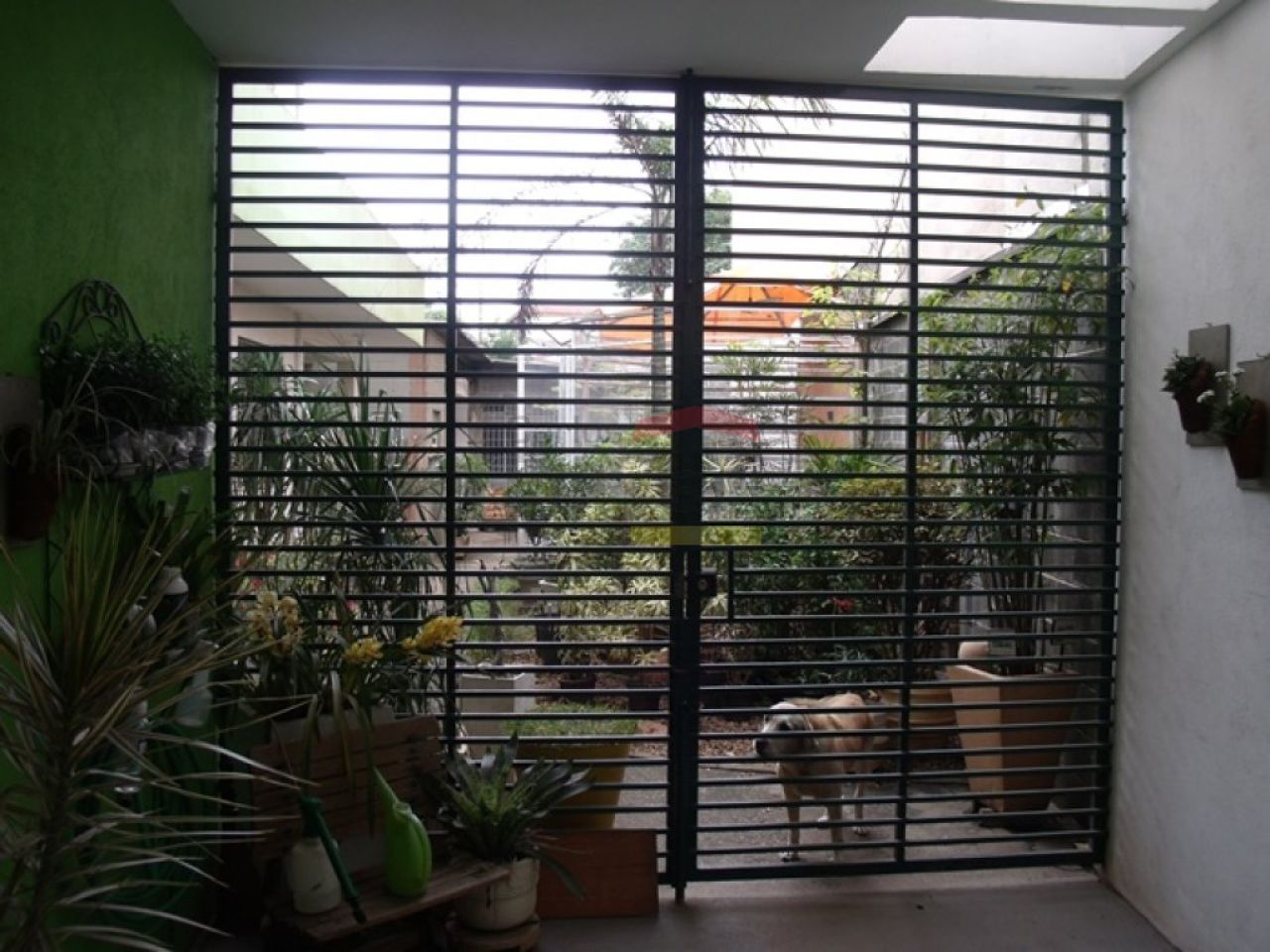 Foto 7