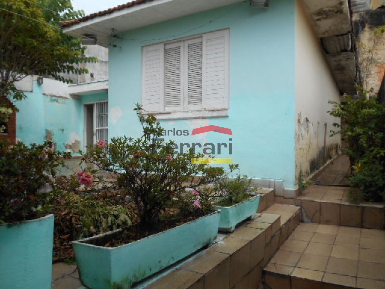 Foto 20