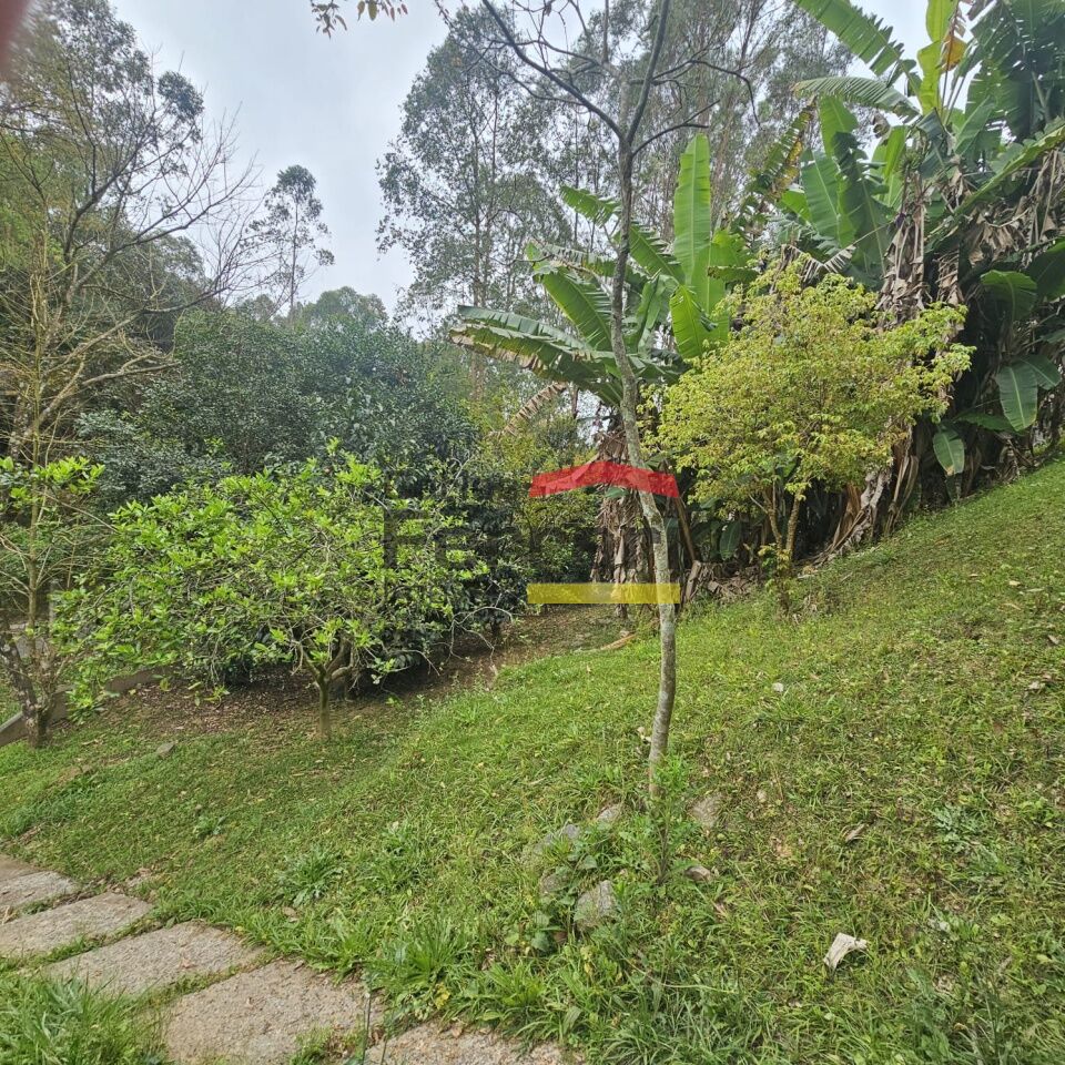 Foto 31