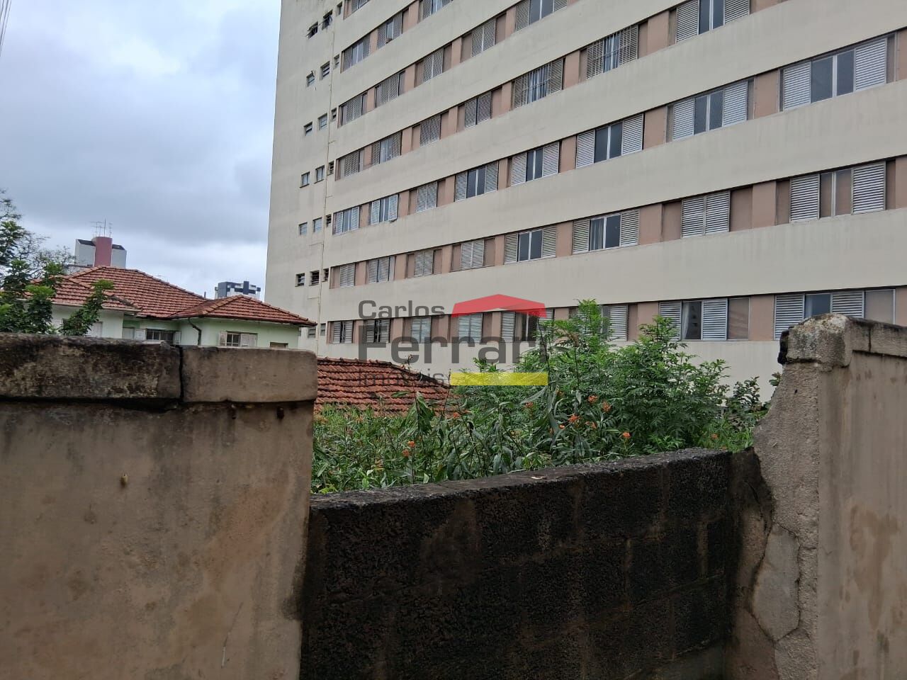 Foto 11