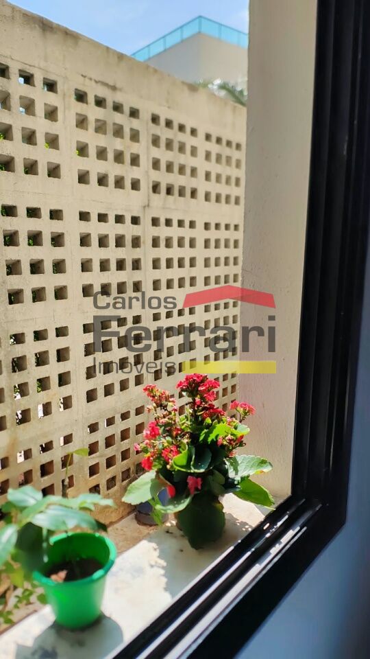 Foto 21