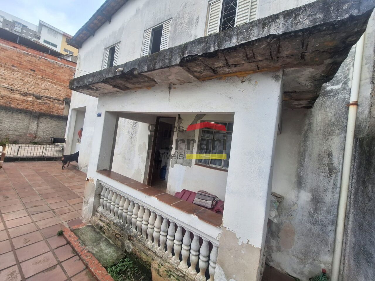 Foto 7