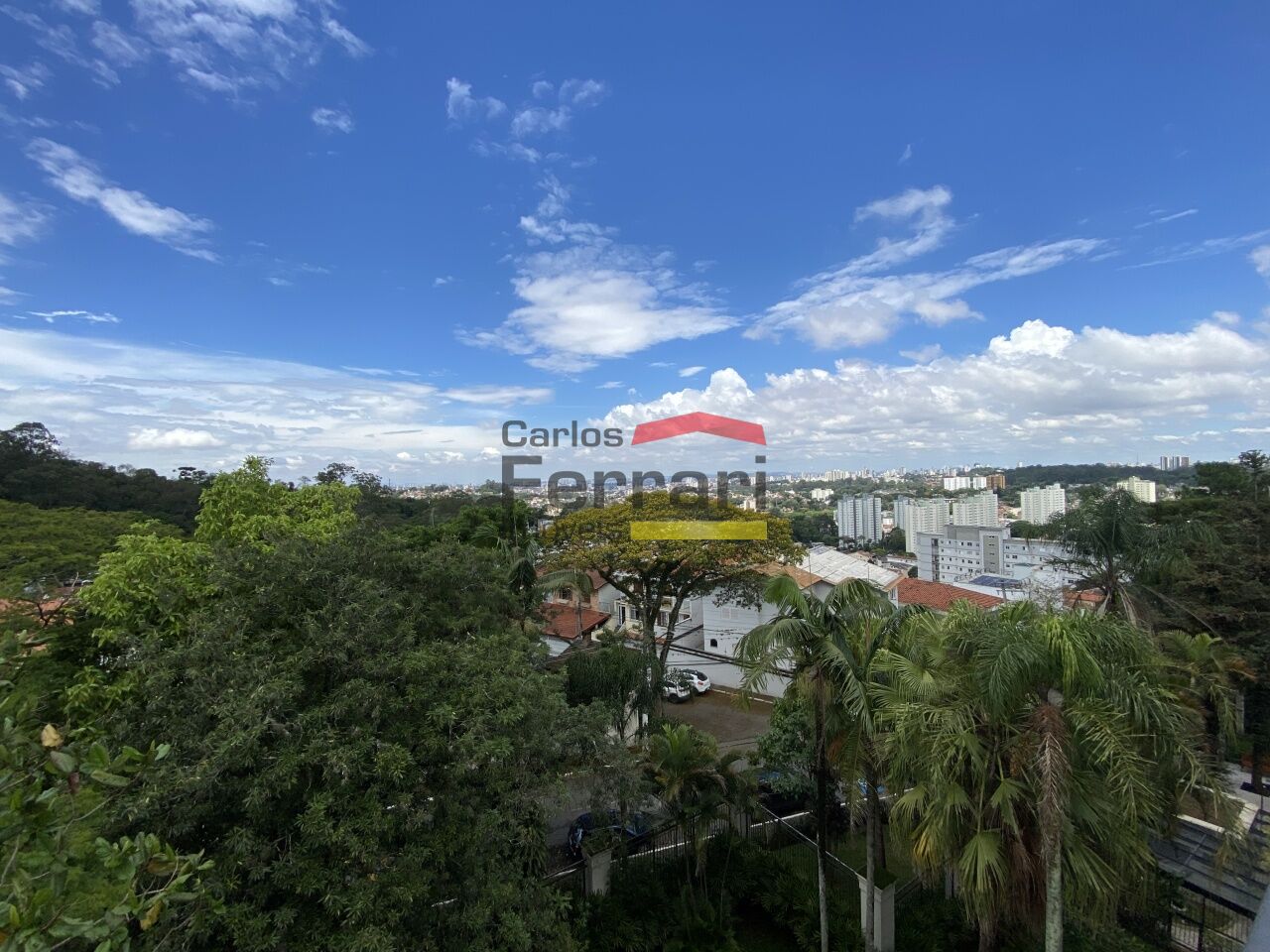 Foto 19