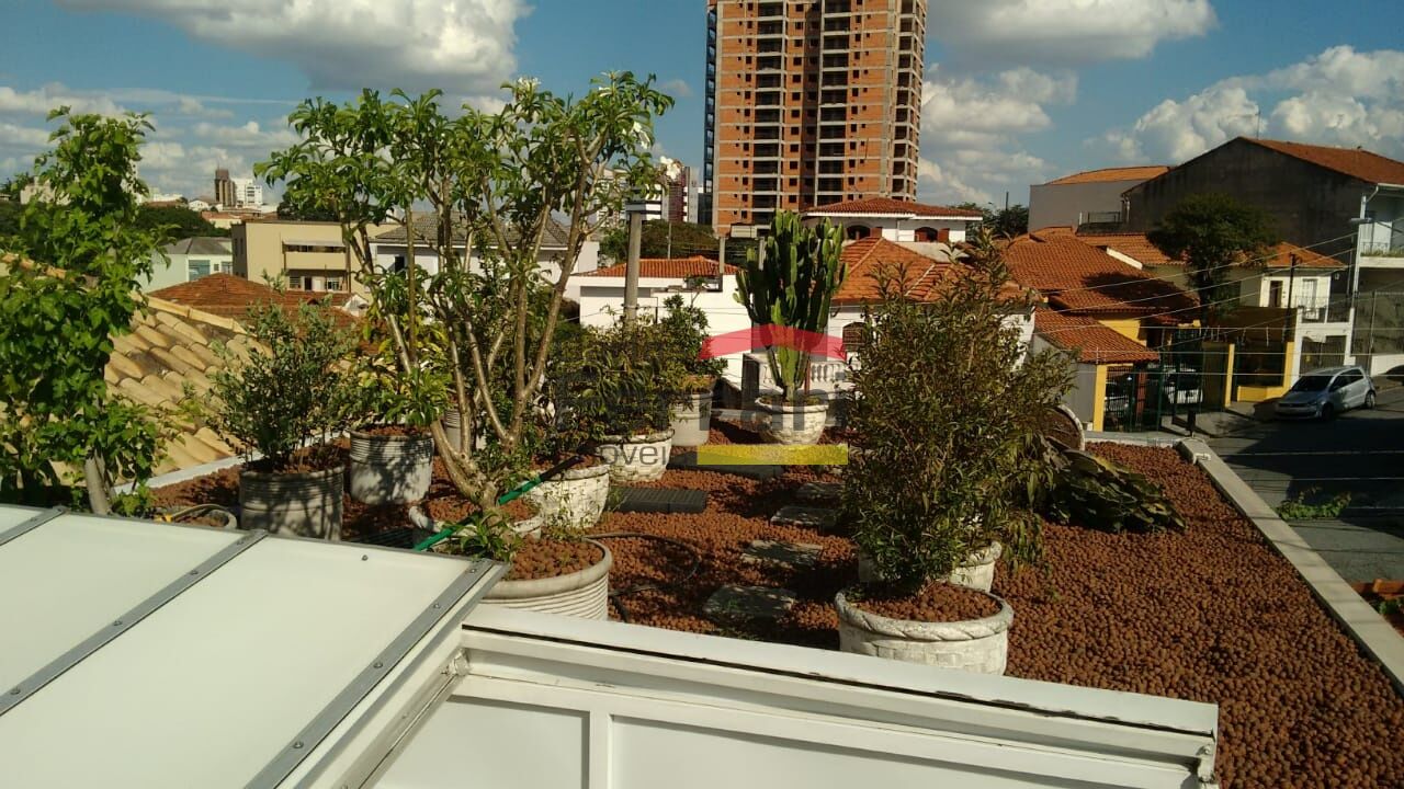 Foto 25