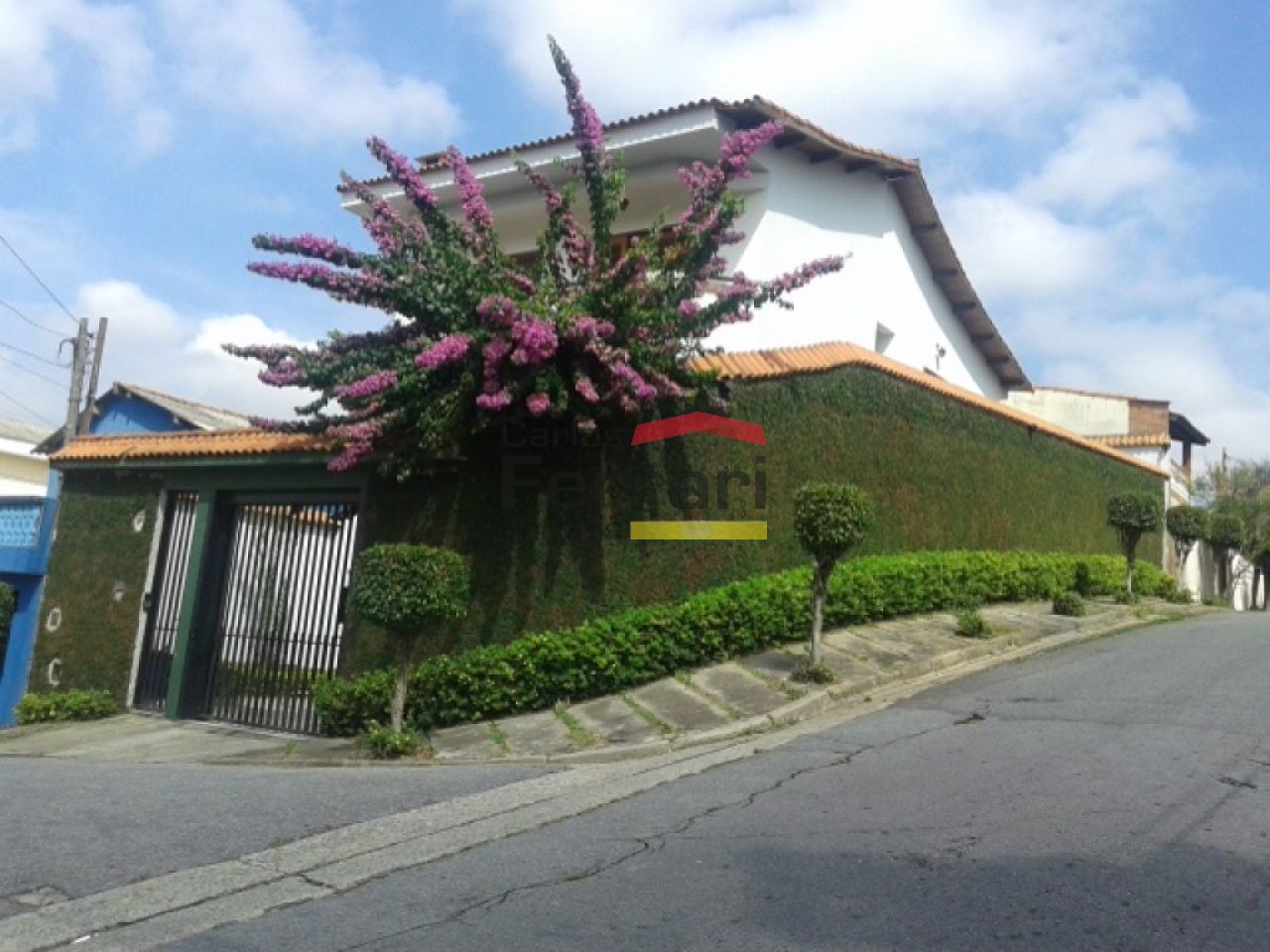Foto 1