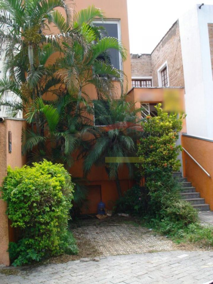 Foto 6