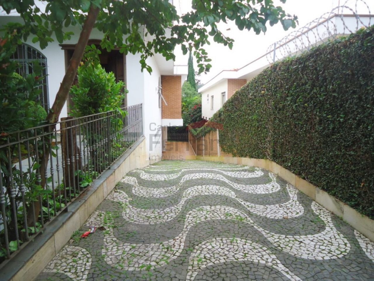 Foto 15