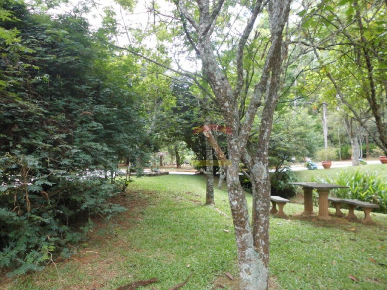 Foto 10