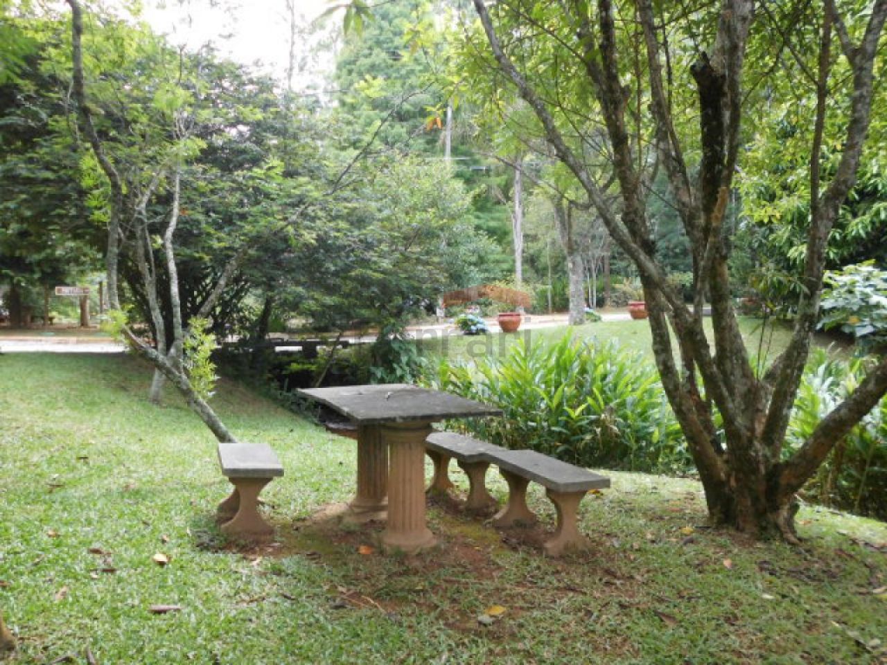 Foto 11