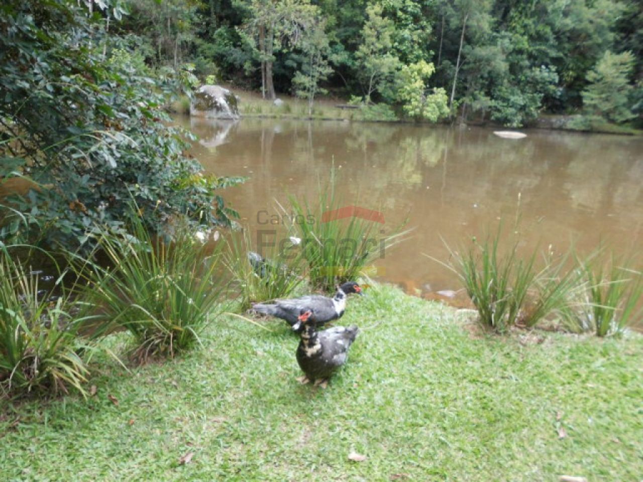 Foto 15