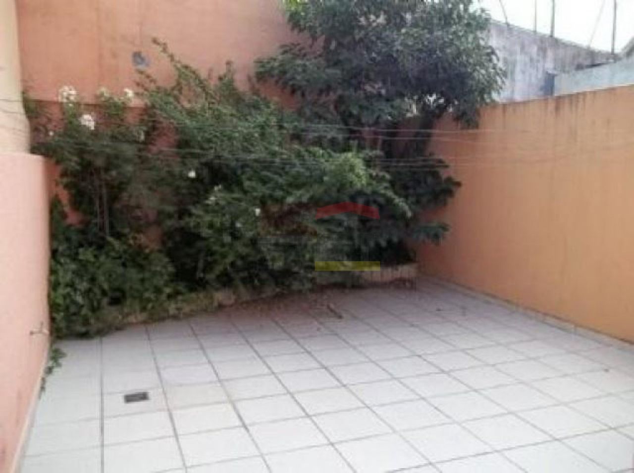Foto 0