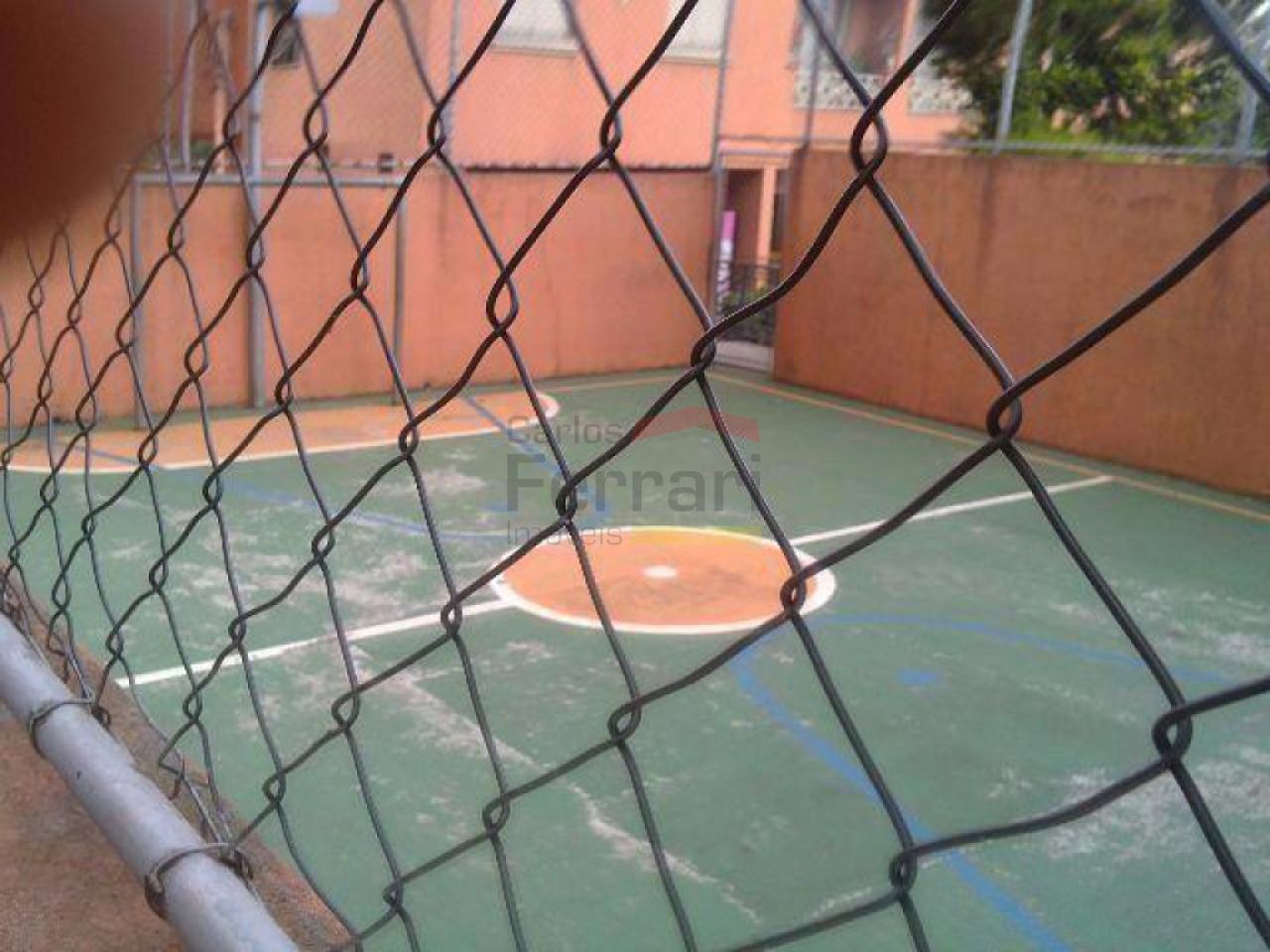 Foto 7