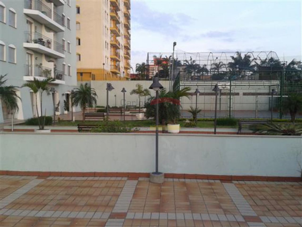 Foto 11