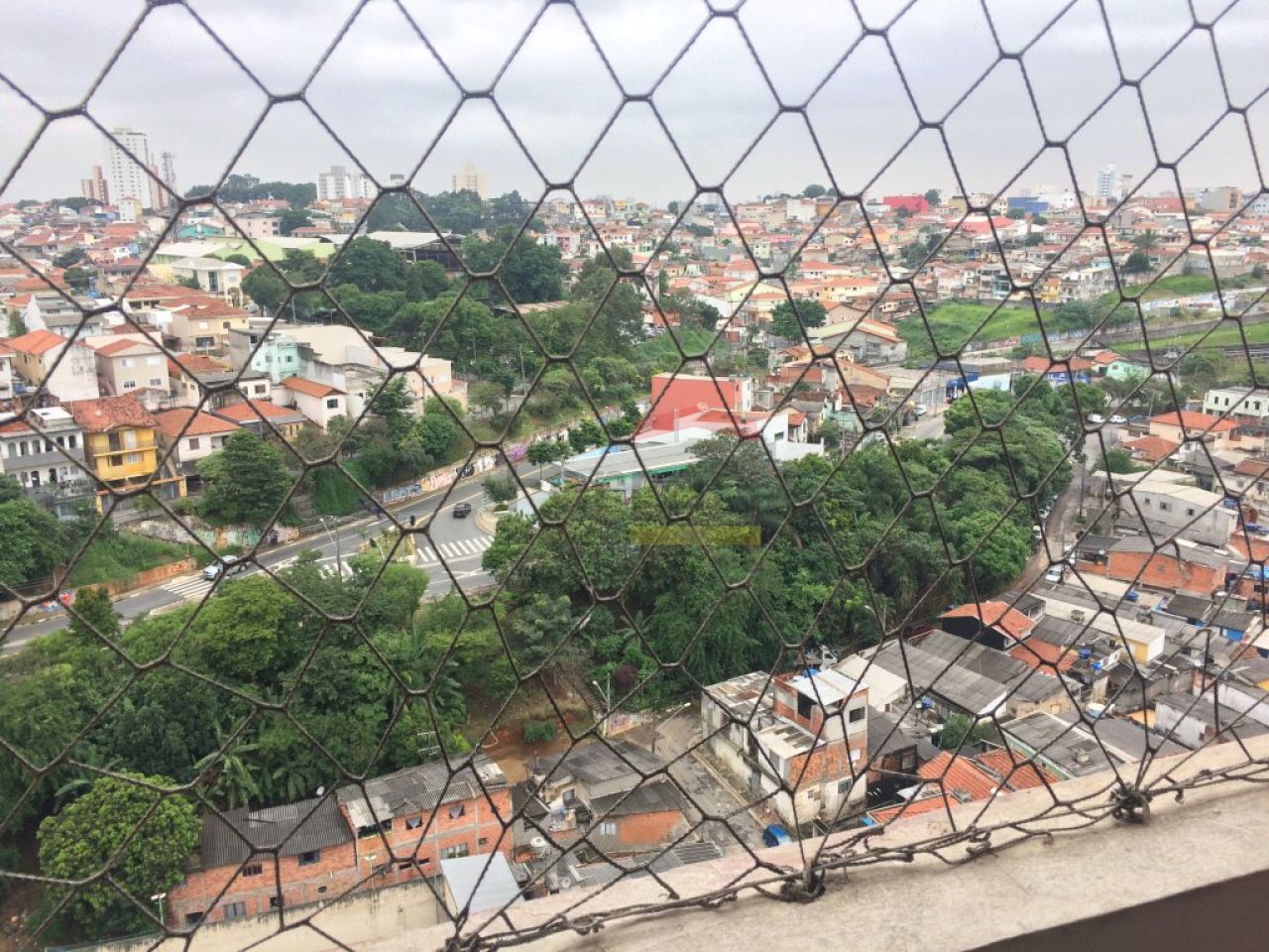 Foto 12