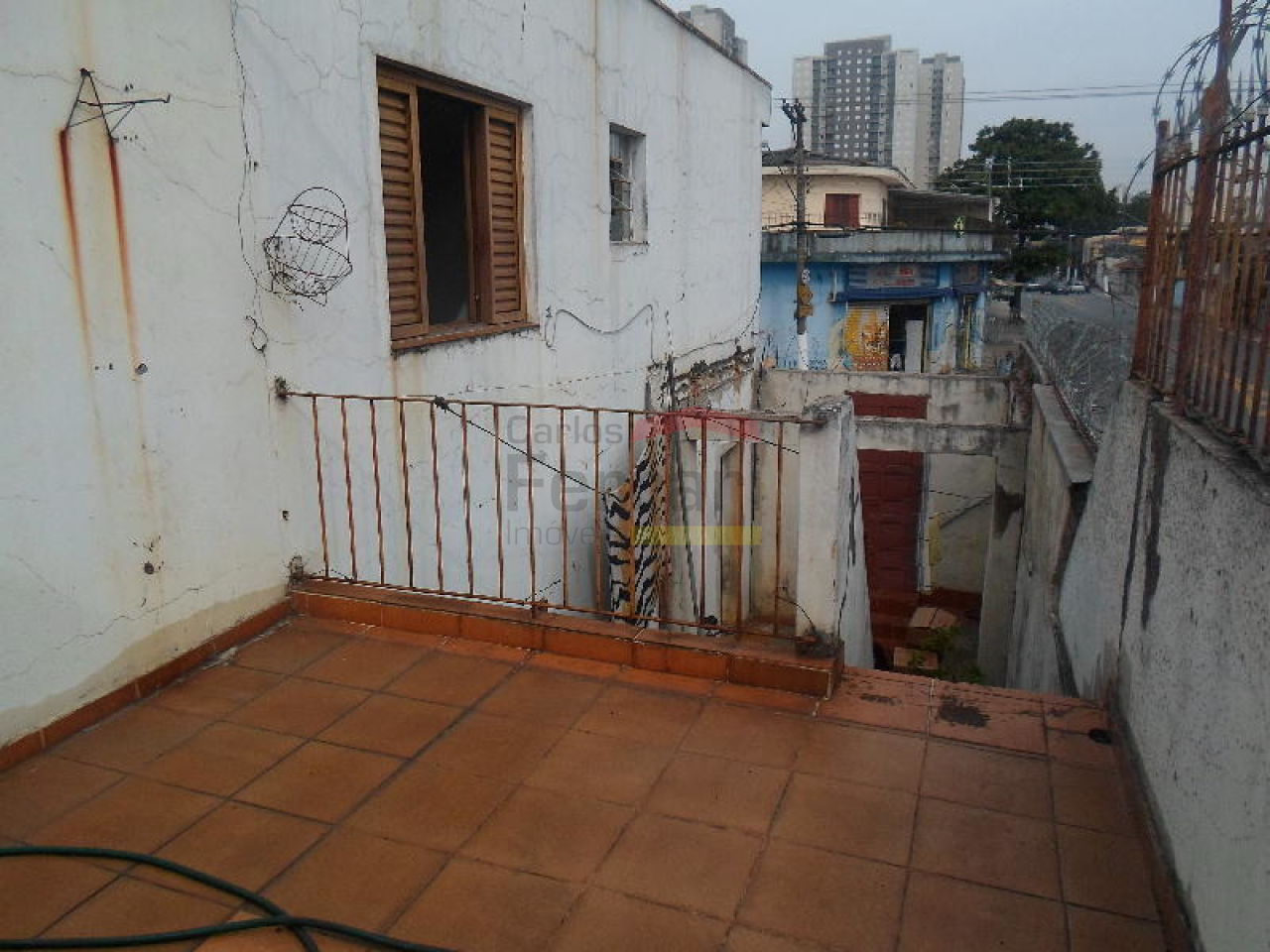Foto 15