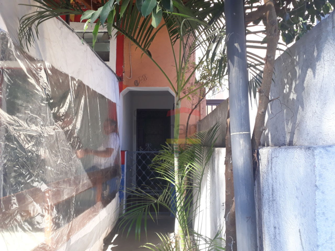 Foto 2