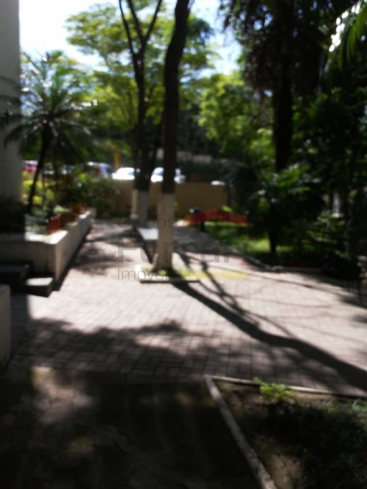Foto 21
